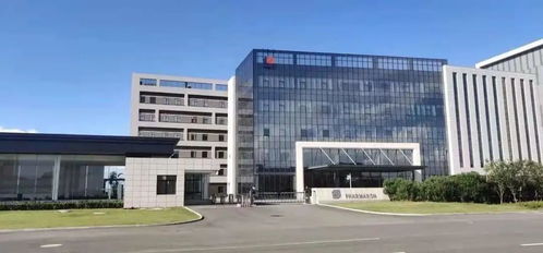 宁波杭州湾新区的特点在哪里 为什么来这里的人越来越多